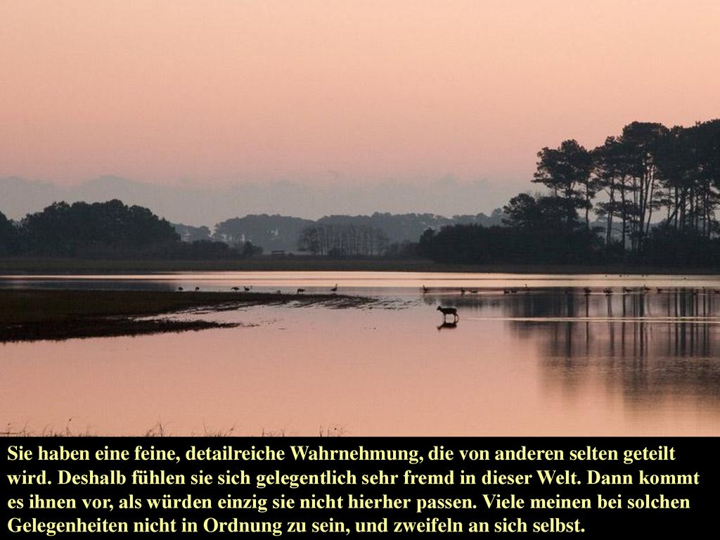 Sie haben eine feine, detailreiche Wahrnehmung, die von anderen selten geteilt wird.