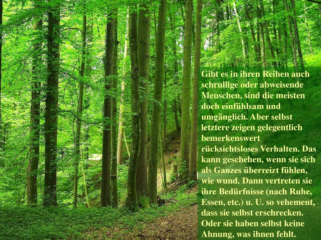 Gibt es in ihren Reihen auch schrullige oder abweisende Menschen, sind die meisten doch einfühlsam und umgänglich.
