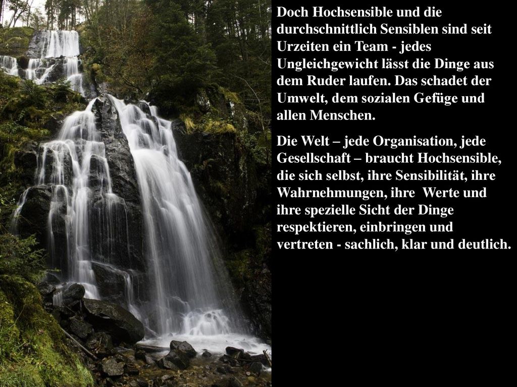 Doch Hochsensible und die durchschnittlich Sensiblen sind seit Urzeiten ein Team - jedes Ungleichgewicht lässt die Dinge aus dem Ruder laufen. Das schadet der Umwelt, dem sozialen Gefüge und allen Menschen.