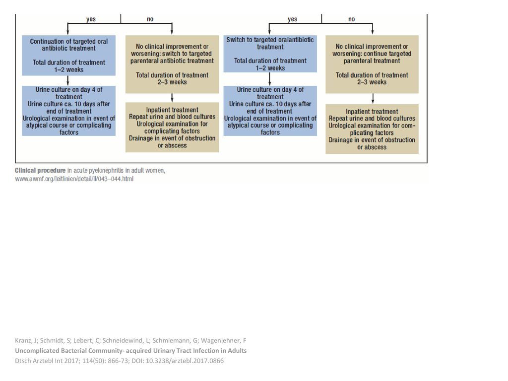 Kranz, J; Schmidt, S; Lebert, C; Schneidewind, L; Schmiemann, G; Wagenlehner, F
