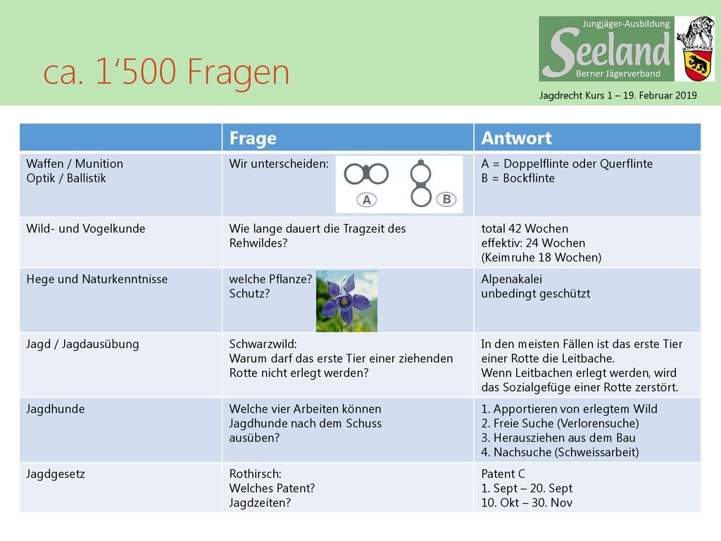 ca. 1‘500 Fragen Frage Antwort Waffen / Munition Optik / Ballistik