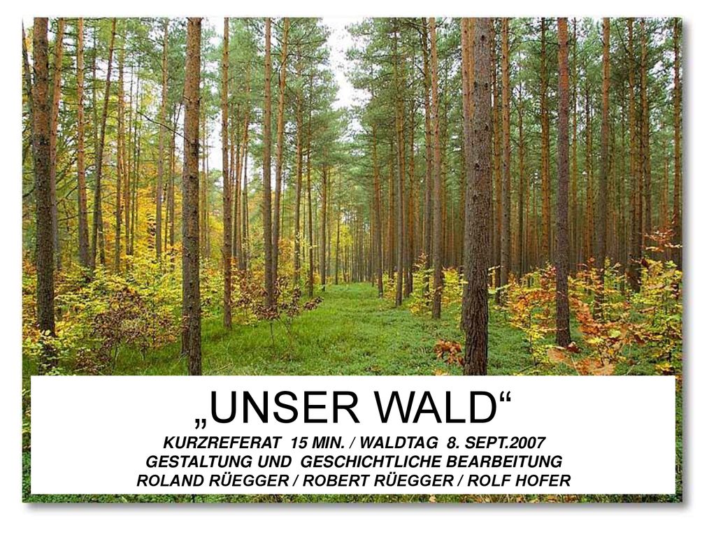 „UNSER WALD KURZREFERAT 15 MIN. / WALDTAG 8. SEPT
