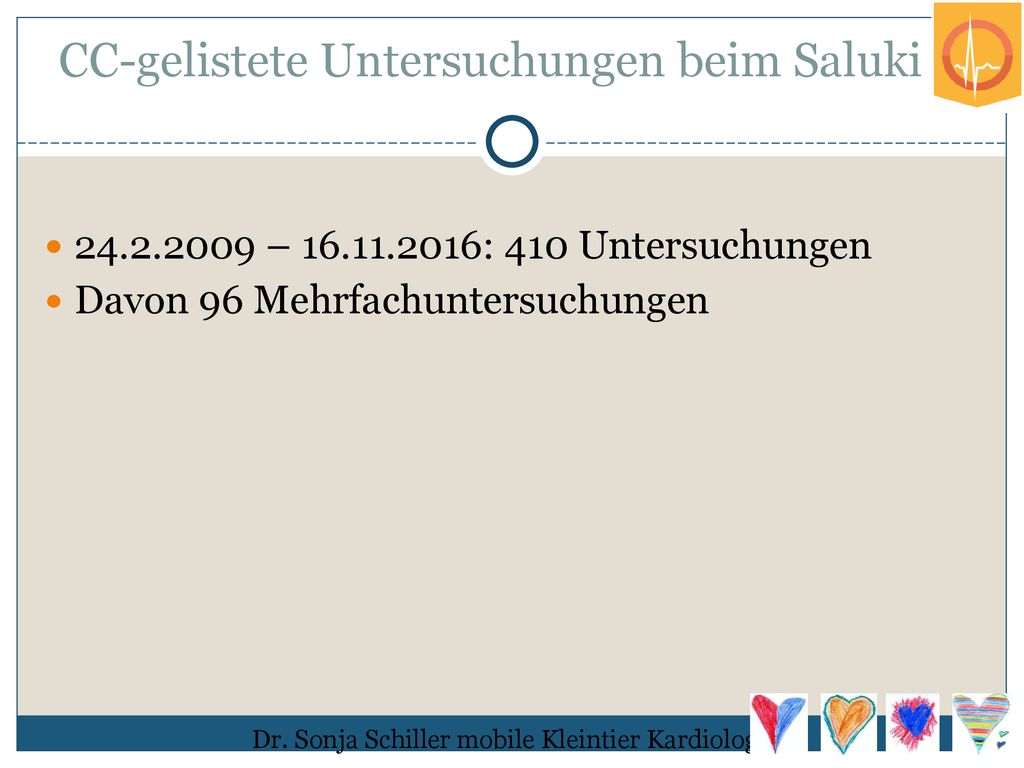 CC-gelistete Untersuchungen beim Saluki