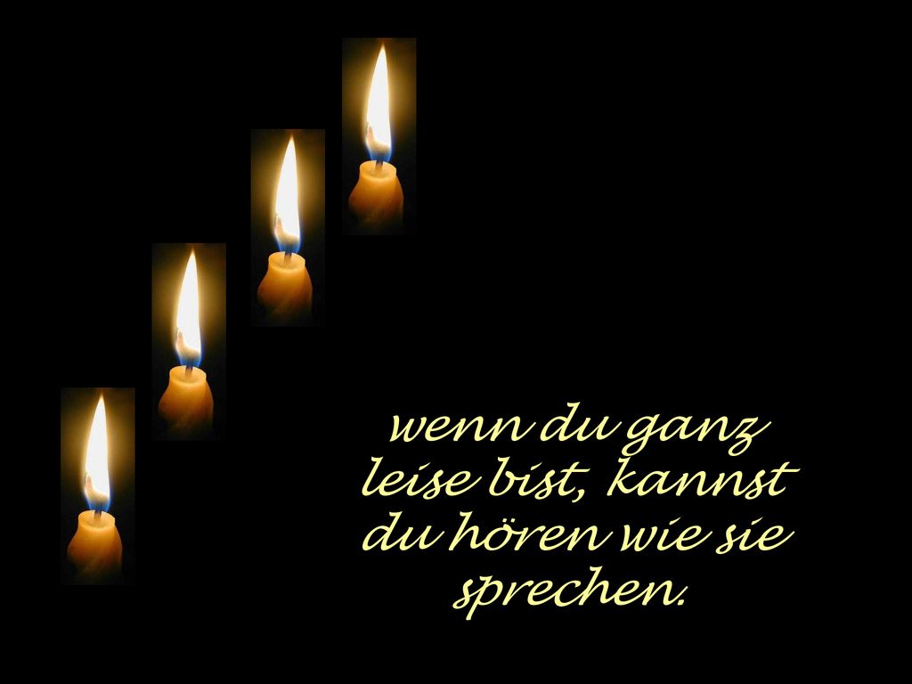 wenn du ganz leise bist, kannst du hören wie sie sprechen.
