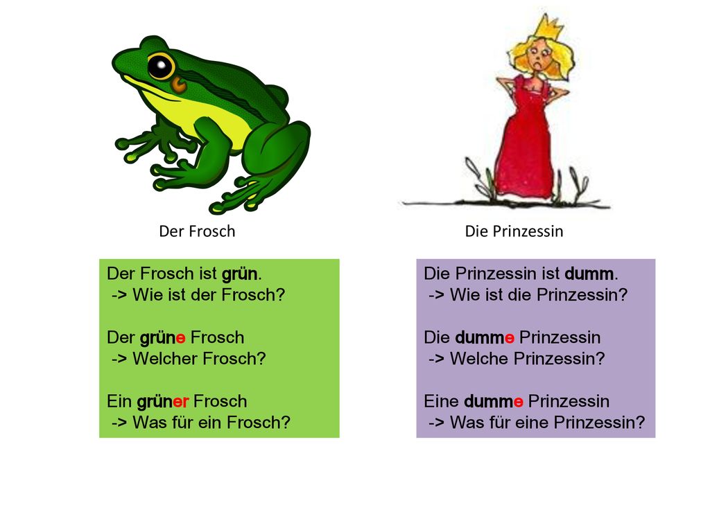 Der Frosch Die Prinzessin. Der Frosch ist grün. -> Wie ist der Frosch Der grüne Frosch. -> Welcher Frosch