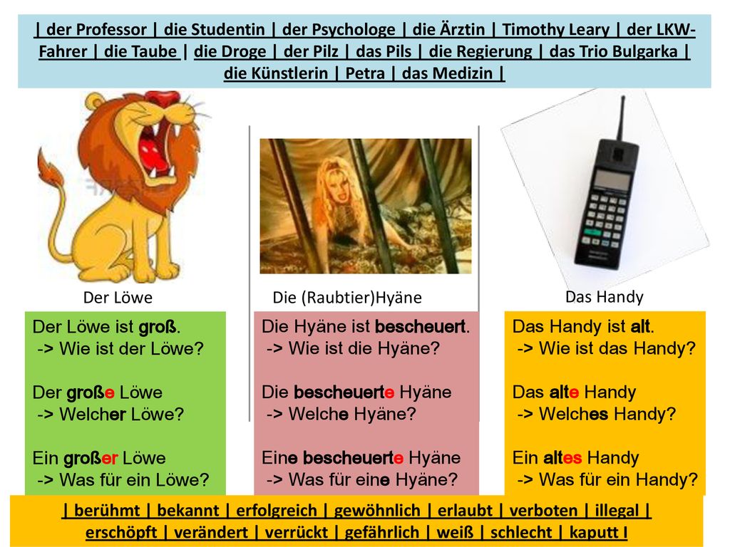 | der Professor | die Studentin | der Psychologe | die Ärztin | Timothy Leary | der LKW-Fahrer | die Taube | die Droge | der Pilz | das Pils | die Regierung | das Trio Bulgarka | die Künstlerin | Petra | das Medizin |