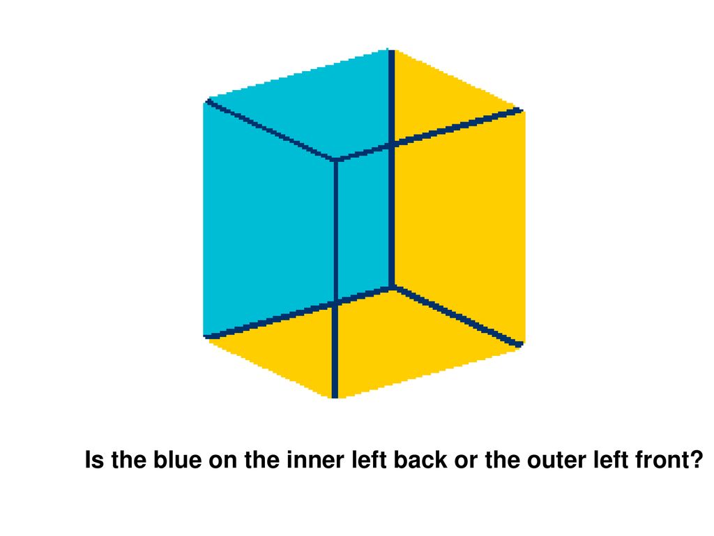Is the blue on the inner left back or the outer left front