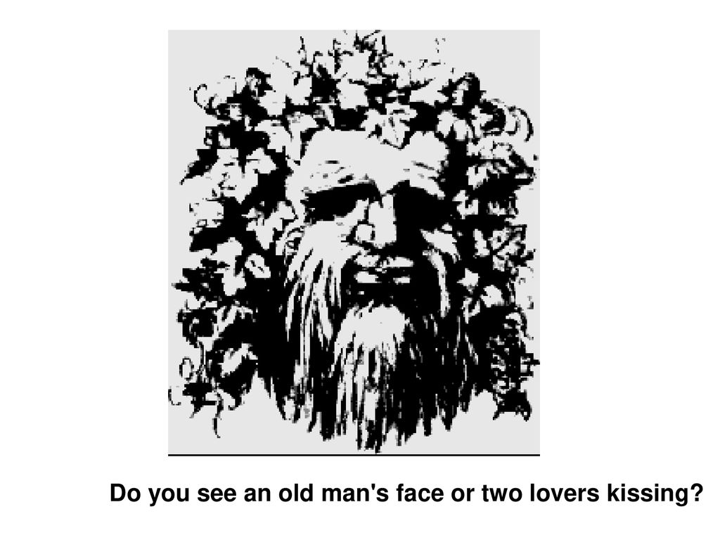 Do you see an old man s face or two lovers kissing