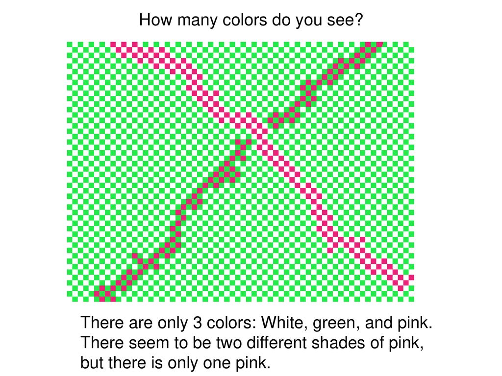 How many colors do you see