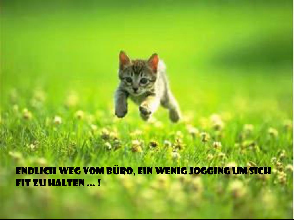 Endlich weg vom büro, ein wenig jogging um sich fit zu halten … !