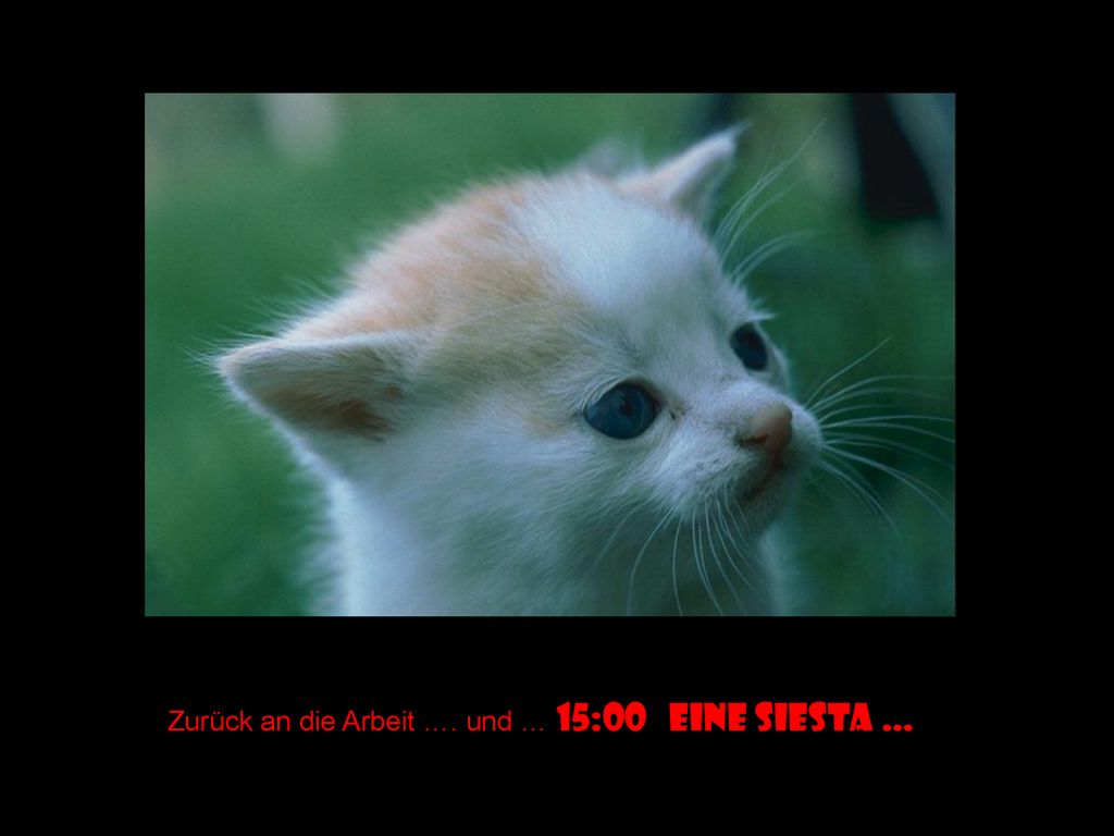 Zurück an die Arbeit …. und … 15:00 eine siesta …