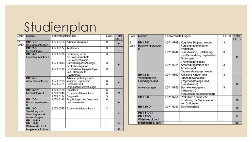 Studienplan Da es ein Monofach ist, bleibt relativ wenig Spielraum