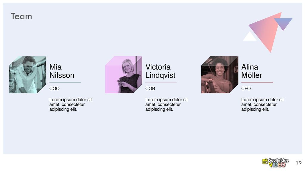 Team Mia Nilsson Victoria Lindqvist Alina Möller COO COB CFO