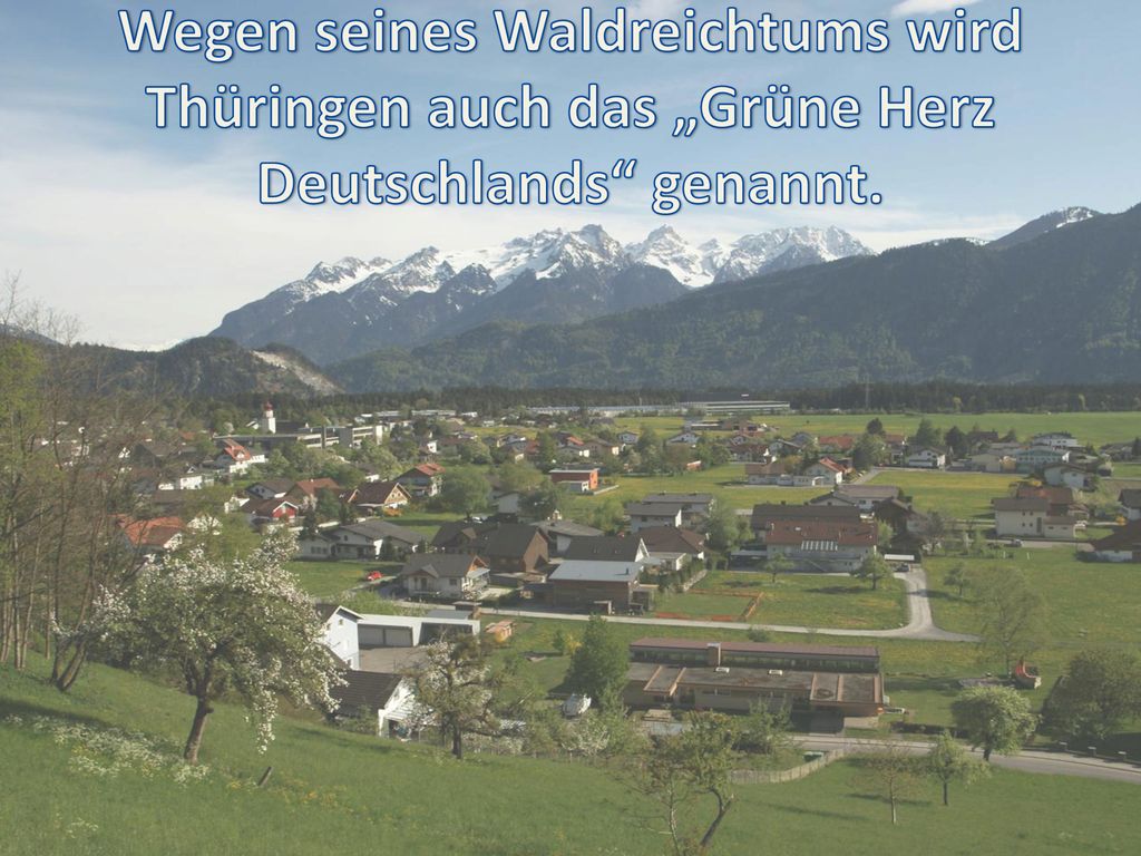 Wegen seines Waldreichtums wird Thüringen auch das „Grüne Herz Deutschlands genannt.