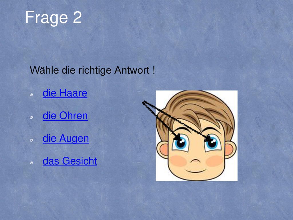 Wähle die richtige Antwort ! die Haare die Ohren die Augen das Gesicht