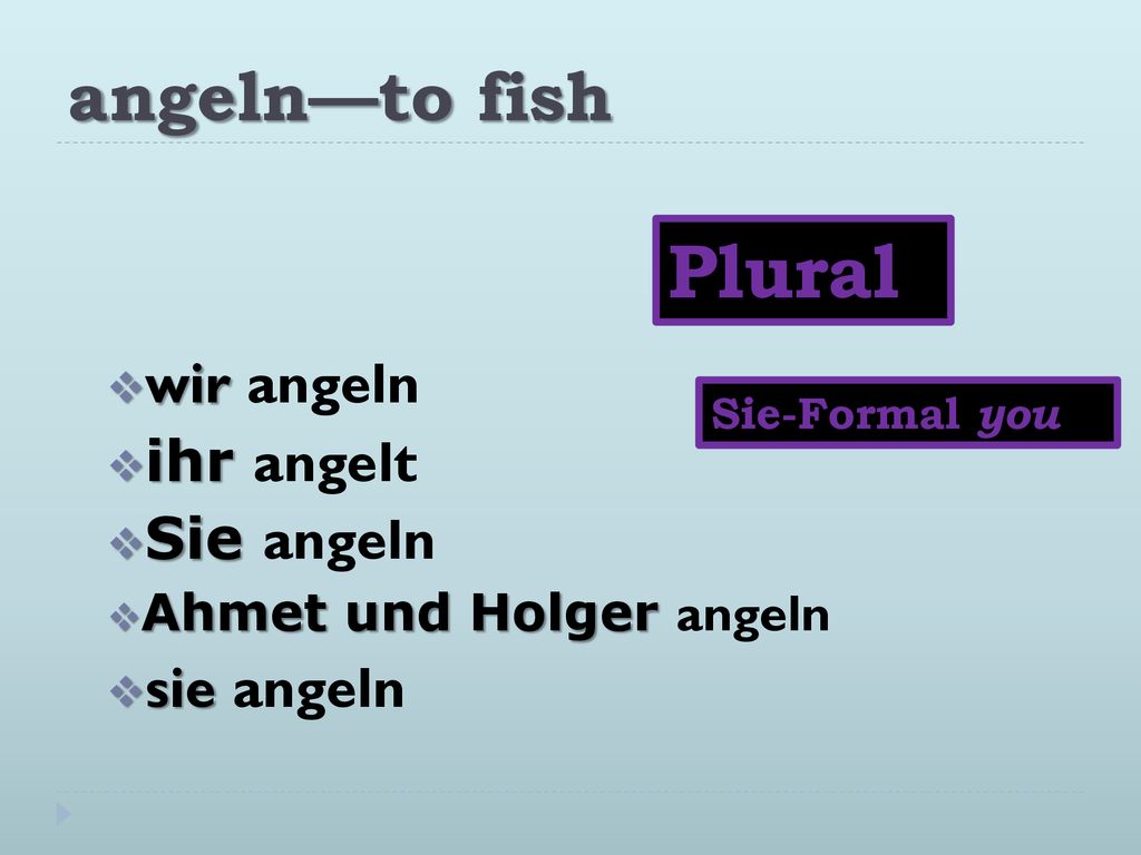 Plural angeln—to fish wir angeln ihr angelt Sie angeln sie angeln