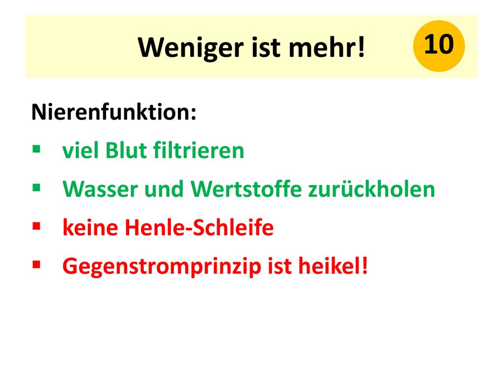 Weniger ist mehr! 10 Nierenfunktion: viel Blut filtrieren