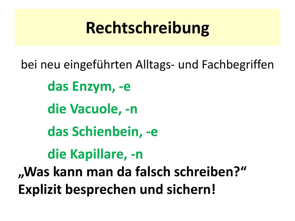 bei neu eingeführten Alltags- und Fachbegriffen