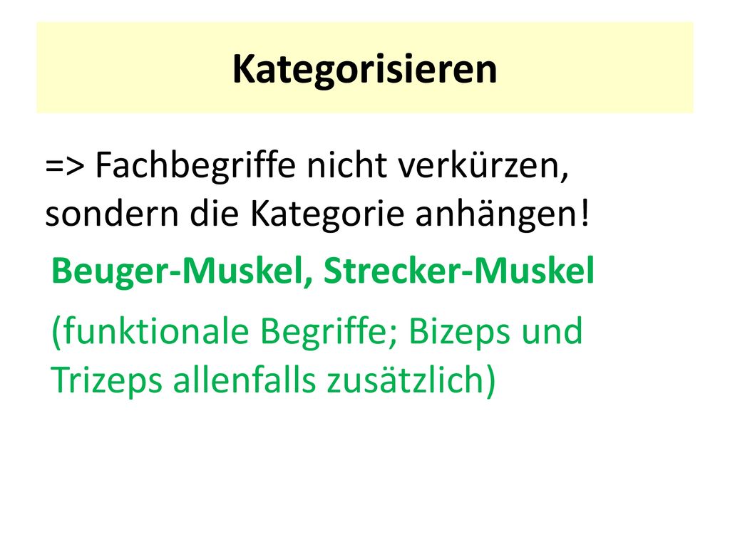 Kategorisieren => Fachbegriffe nicht verkürzen, sondern die Kategorie anhängen! Beuger-Muskel, Strecker-Muskel.