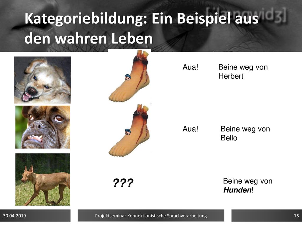 Kategoriebildung: Ein Beispiel aus den wahren Leben
