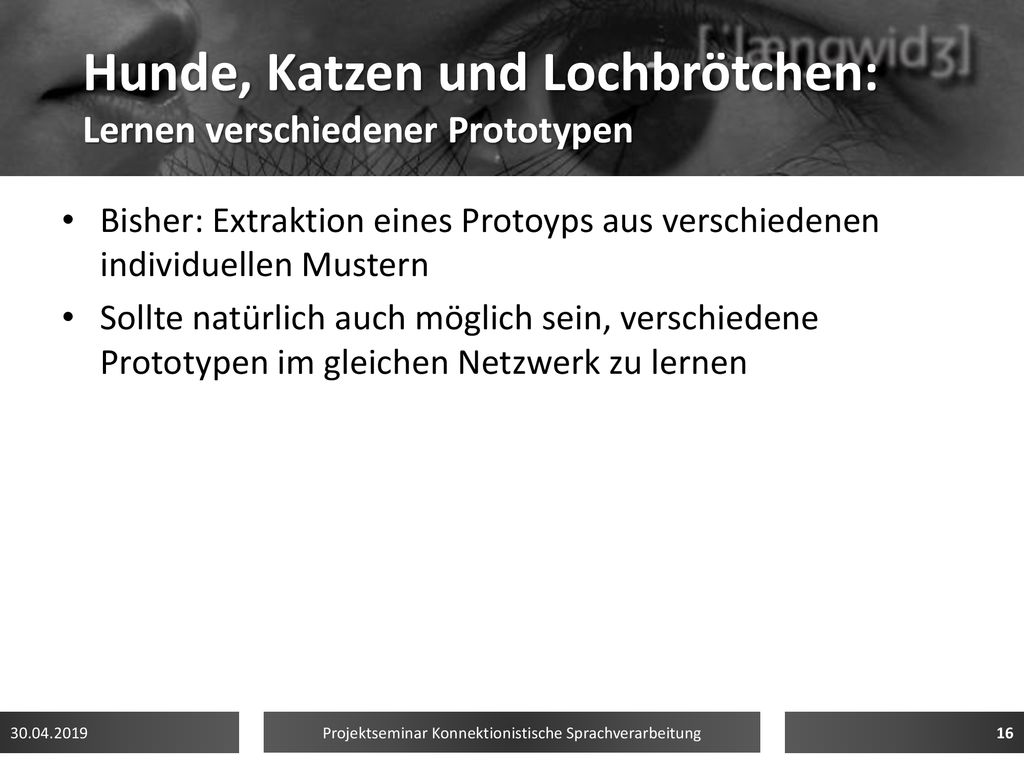 Hunde, Katzen und Lochbrötchen: Lernen verschiedener Prototypen