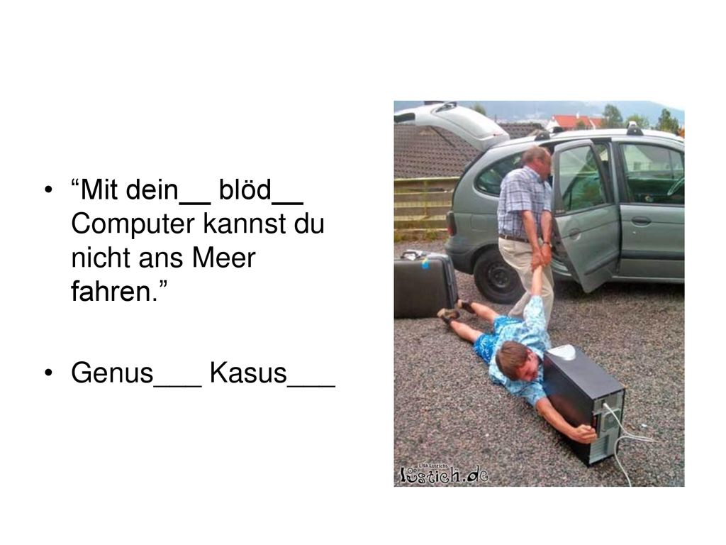 Mit dein__ blöd__ Computer kannst du nicht ans Meer fahren.