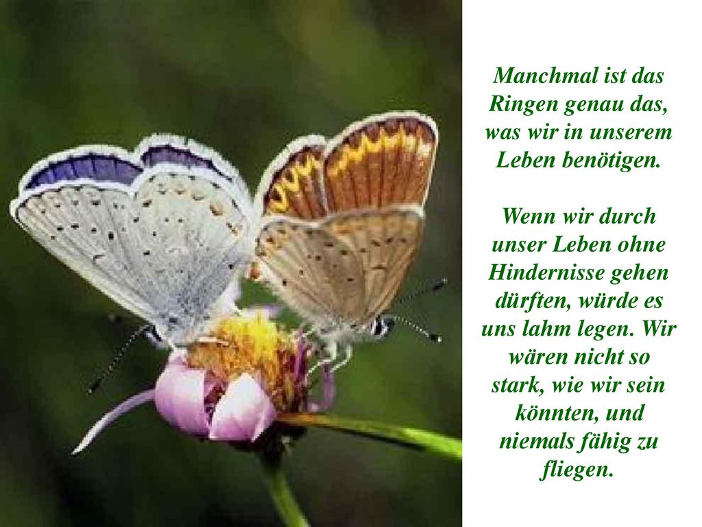 Manchmal ist das Ringen genau das, was wir in unserem Leben benötigen.