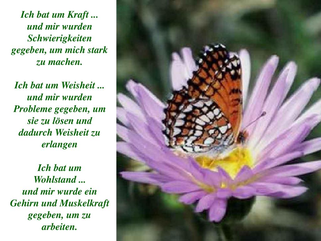 Ich bat um Kraft ... und mir wurden Schwierigkeiten gegeben, um mich stark zu machen.