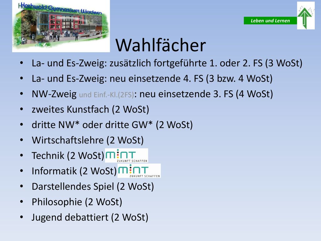 Wahlfächer La- und Es-Zweig: zusätzlich fortgeführte 1. oder 2. FS (3 WoSt) La- und Es-Zweig: neu einsetzende 4. FS (3 bzw. 4 WoSt)