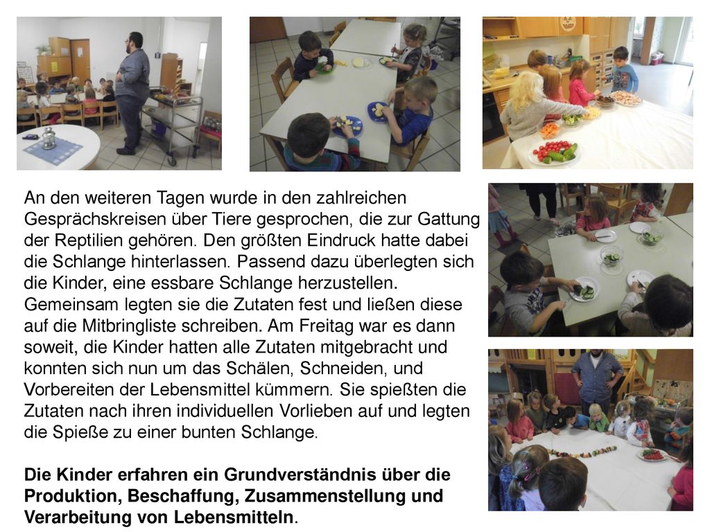 An den weiteren Tagen wurde in den zahlreichen Gesprächskreisen über Tiere gesprochen, die zur Gattung der Reptilien gehören. Den größten Eindruck hatte dabei die Schlange hinterlassen. Passend dazu überlegten sich die Kinder, eine essbare Schlange herzustellen. Gemeinsam legten sie die Zutaten fest und ließen diese auf die Mitbringliste schreiben. Am Freitag war es dann soweit, die Kinder hatten alle Zutaten mitgebracht und konnten sich nun um das Schälen, Schneiden, und Vorbereiten der Lebensmittel kümmern. Sie spießten die Zutaten nach ihren individuellen Vorlieben auf und legten die Spieße zu einer bunten Schlange.