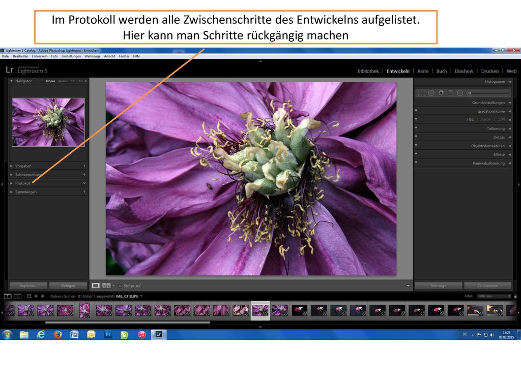 Im Protokoll werden alle Zwischenschritte des Entwickelns aufgelistet
