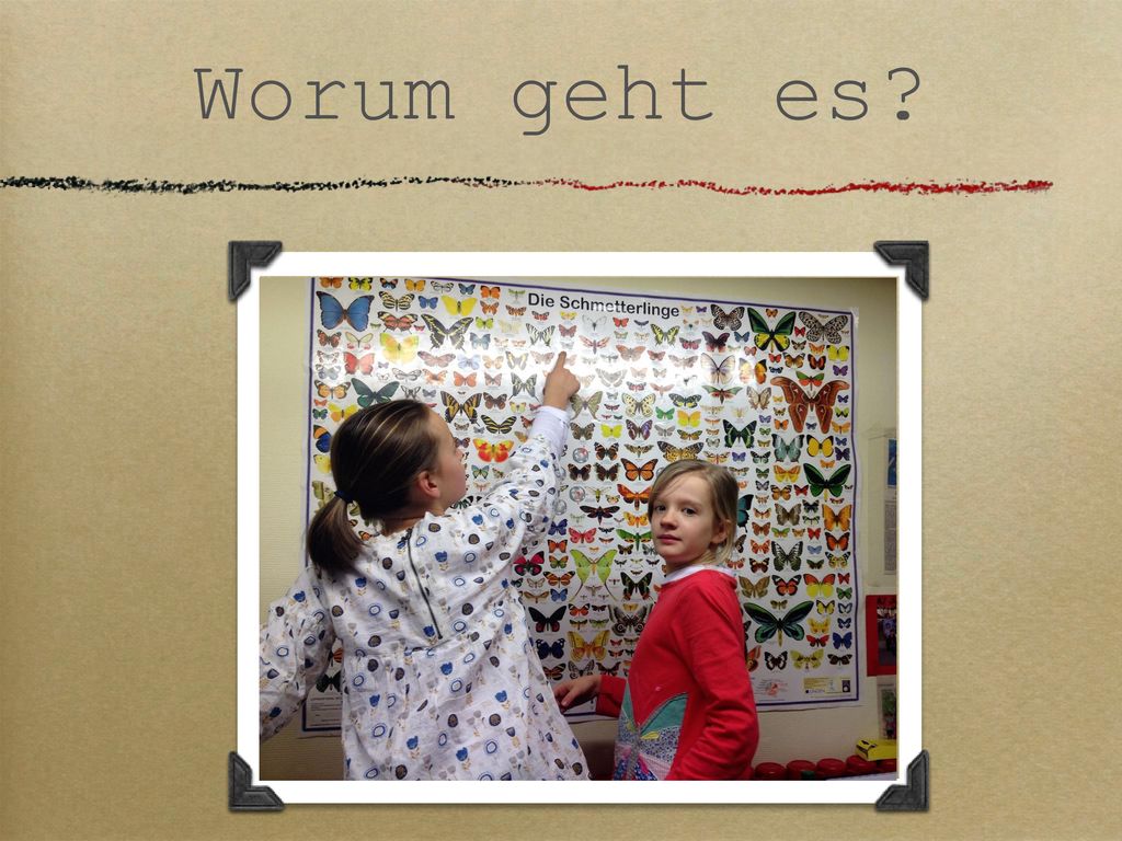 Worum geht es Ort: PGs We Kl.4a, vier Doppelstunden Kunst