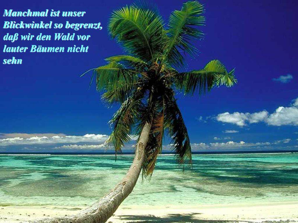Manchmal ist unser Blickwinkel so begrenzt, daß wir den Wald vor lauter Bäumen nicht sehn