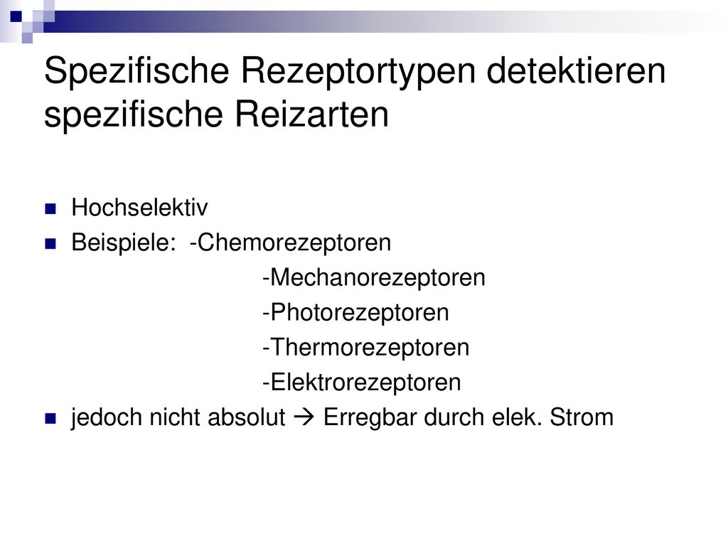 Spezifische Rezeptortypen detektieren spezifische Reizarten