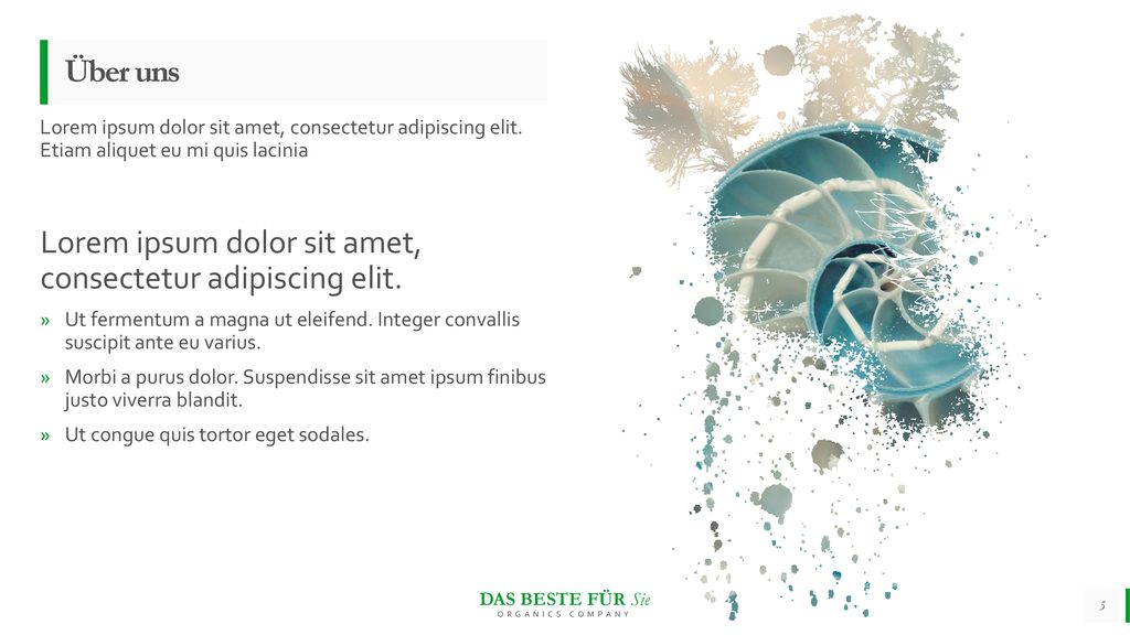 Lorem ipsum dolor sit amet, consectetur adipiscing elit.