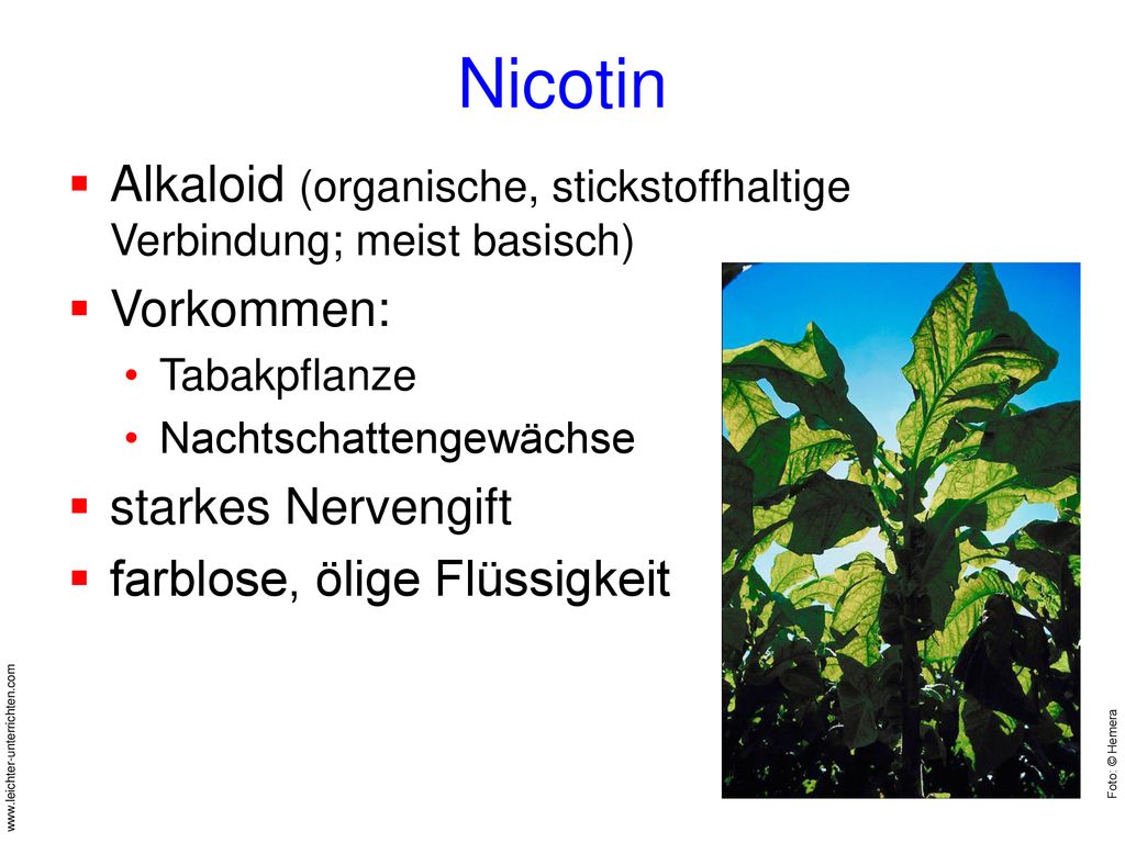 Nicotin Alkaloid (organische, stickstoffhaltige Verbindung; meist basisch) Vorkommen: Tabakpflanze.