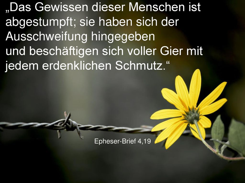 „Das Gewissen dieser Menschen ist abgestumpft; sie haben sich der Ausschweifung hingegeben und beschäftigen sich voller Gier mit jedem erdenklichen Schmutz.