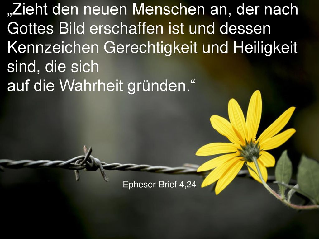 „Zieht den neuen Menschen an, der nach Gottes Bild erschaffen ist und dessen Kennzeichen Gerechtigkeit und Heiligkeit sind, die sich auf die Wahrheit gründen.