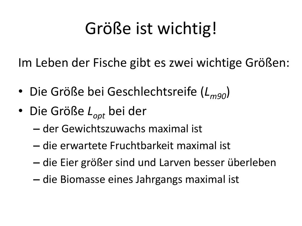 Größe ist wichtig! Im Leben der Fische gibt es zwei wichtige Größen: