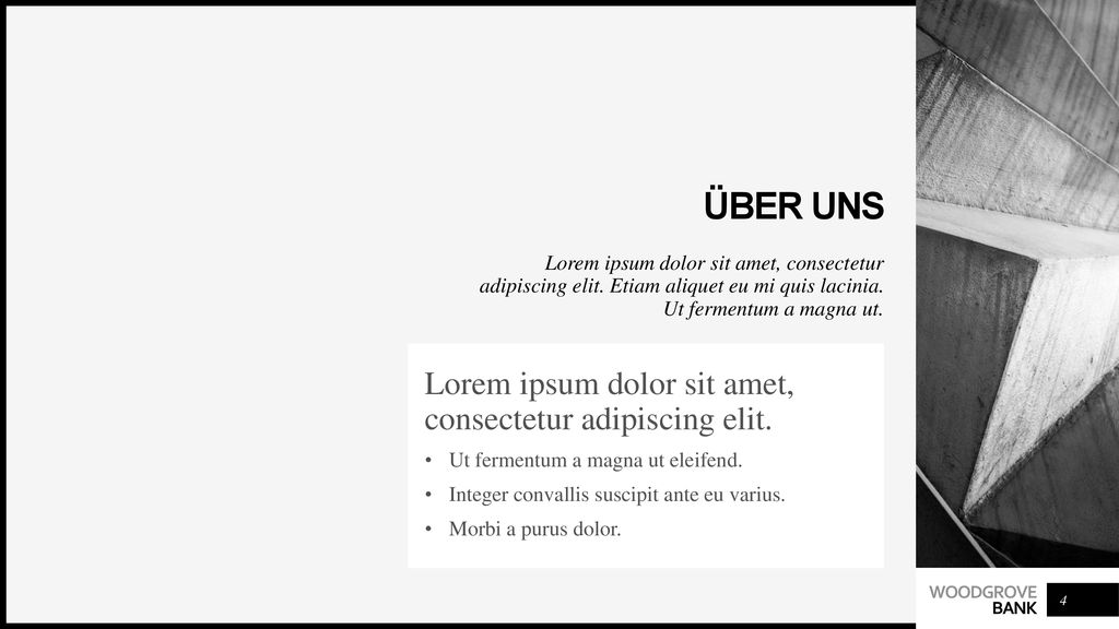 Über uns Lorem ipsum dolor sit amet, consectetur adipiscing elit.