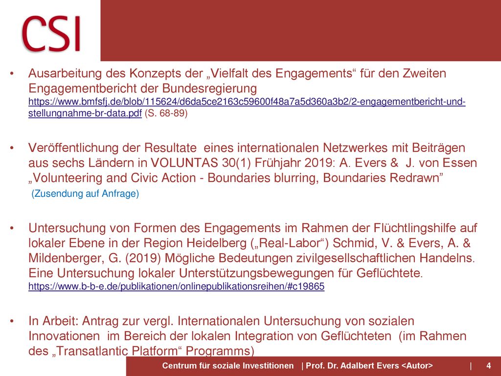 Ausarbeitung des Konzepts der „Vielfalt des Engagements für den Zweiten Engagementbericht der Bundesregierung   (S )