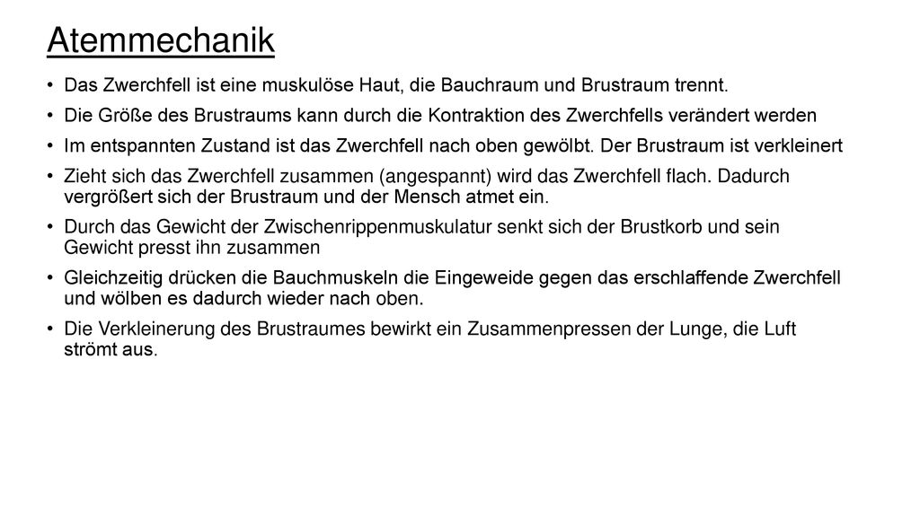 Atemmechanik Das Zwerchfell ist eine muskulöse Haut, die Bauchraum und Brustraum trennt.