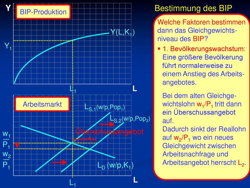 _ _ Y Bestimmung des BIP Y(L,K1) Y1 L1 L LS,1(w/p,Pop1) LS,2(w/p,Pop2)