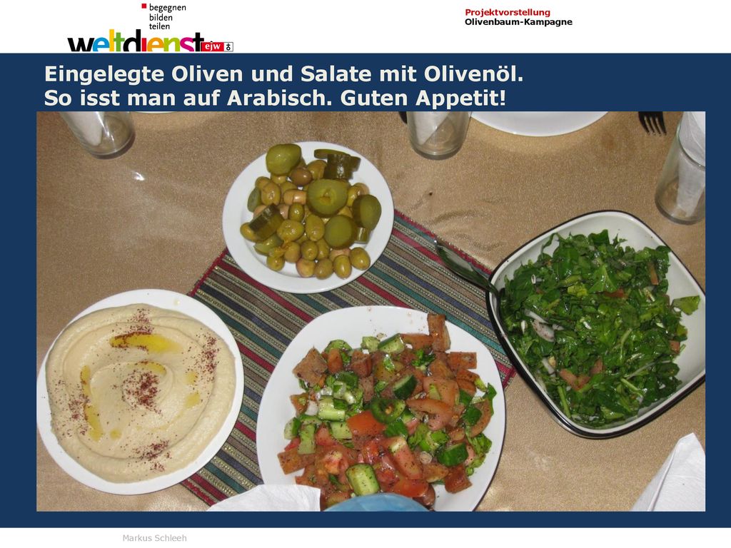 Die OlivenbaumKampagne Hoffnung am Leben erhalten ppt herunterladen