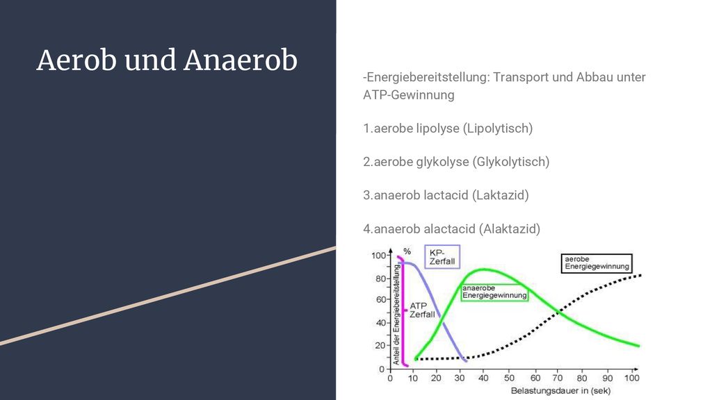 Aerob und Anaerob -Energiebereitstellung: Transport und Abbau unter ATP-Gewinnung. 1.aerobe lipolyse (Lipolytisch)