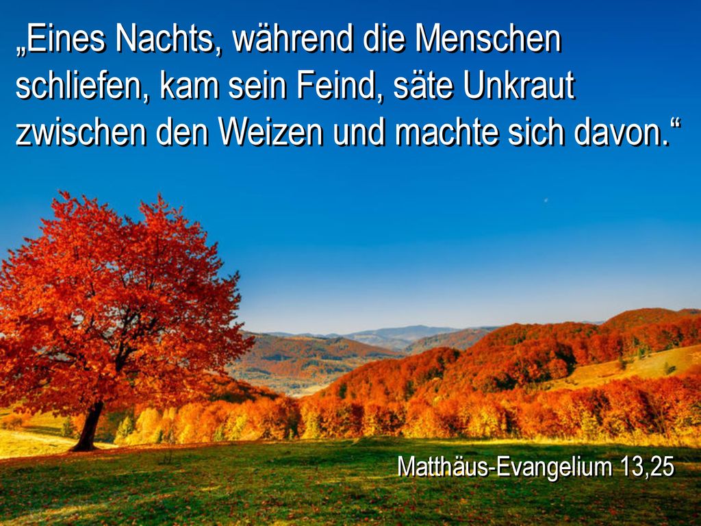 „Eines Nachts, während die Menschen schliefen, kam sein Feind, säte Unkraut zwischen den Weizen und machte sich davon.