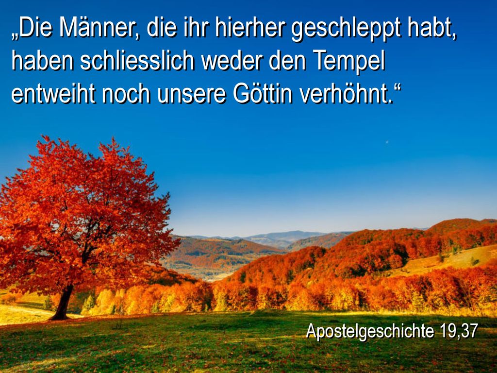 „Die Männer, die ihr hierher geschleppt habt, haben schliesslich weder den Tempel entweiht noch unsere Göttin verhöhnt.