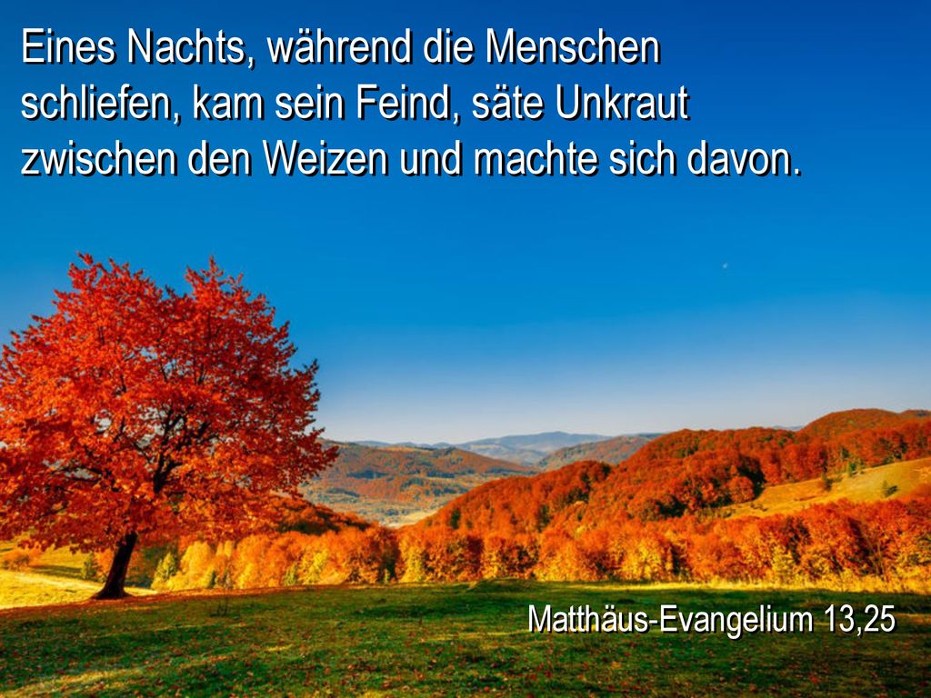 Eines Nachts, während die Menschen schliefen, kam sein Feind, säte Unkraut zwischen den Weizen und machte sich davon.