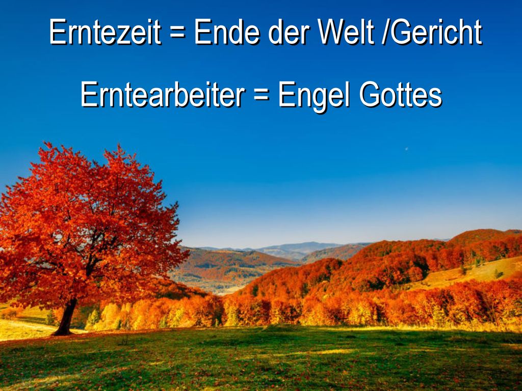 Erntezeit = Ende der Welt /Gericht Erntearbeiter = Engel Gottes