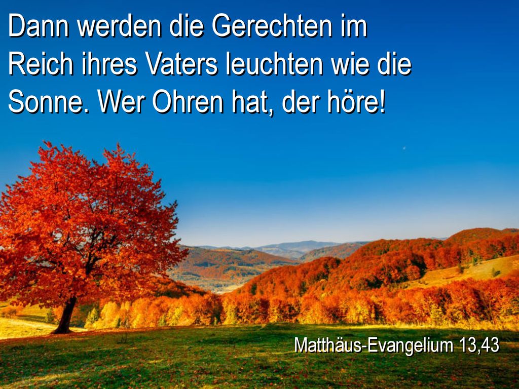 Dann werden die Gerechten im Reich ihres Vaters leuchten wie die Sonne